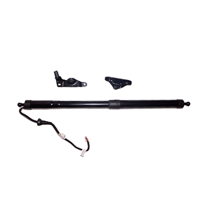 2014 تویوتا Highlander Hatch Struts